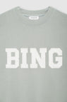 Anine Bing | Tyler Sweatshirt Satin Bing - Sage Green
