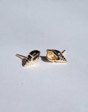 Meadowlark | Conch Stud Earrings - Sterling Silver
